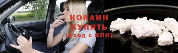 прущая мука Каменка