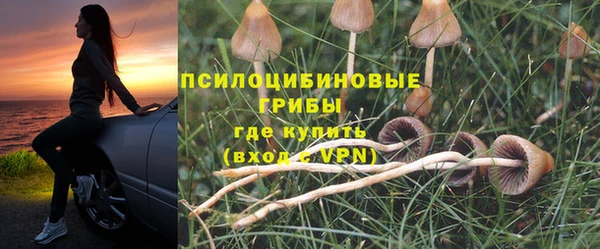 МДПВ Аркадак