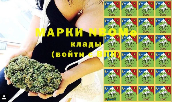 прущие грибы Армянск