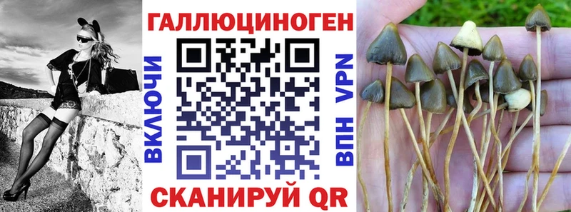 Галлюциногенные грибы Cubensis  Мамоново 